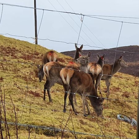 Stags View Holiday Home Portree Exterior foto